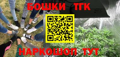 мдпв Гатчина