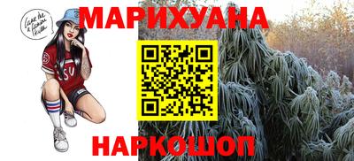 мдпв Гатчина