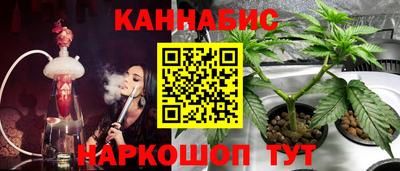 экстази Гай