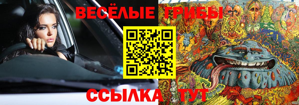 Псилоцибиновые грибы GOLDEN TEACHER Сухой Лог