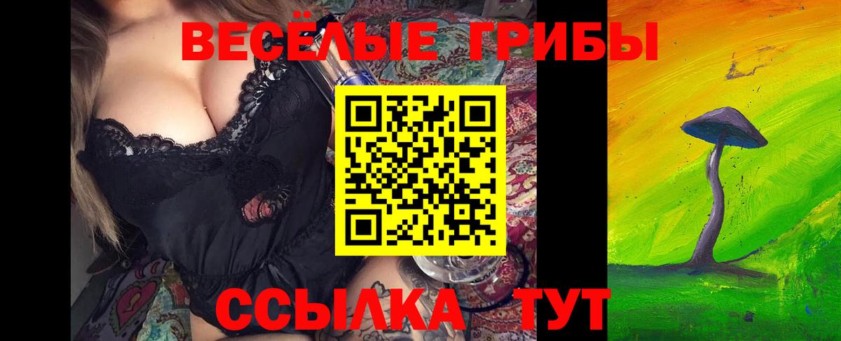 Сухой Лог  Псилоцибиновые грибы Cubensis  Вход с VPN  Псилоцибиновые грибы ЛСД 